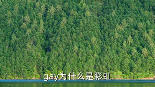 黃色男同性戀，gay為什么是彩虹