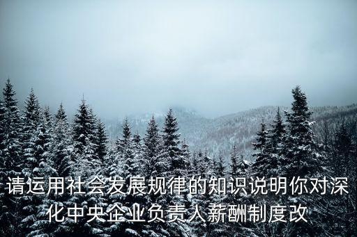 中央管理企業(yè)負責(zé)人薪酬制度改革方案，中國銀行行長 年薪多少