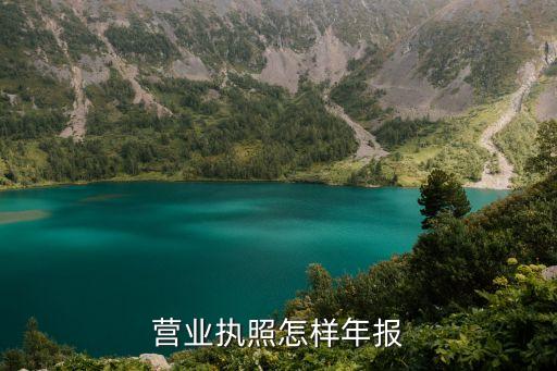 工商年度報告，工商年報怎報