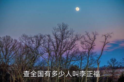 查全國(guó)有多少人叫李正福