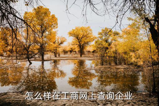 工商網(wǎng)查詢企業(yè)信息查詢系統(tǒng)，怎么樣在工商網(wǎng)上查詢企業(yè)