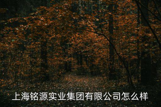 姚涌，上海銘源實(shí)業(yè)集團(tuán)有限公司怎么樣