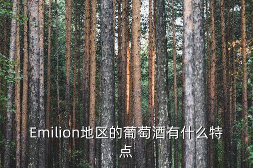 車庫酒，Emilion地區(qū)的葡萄酒有什么特點(diǎn)