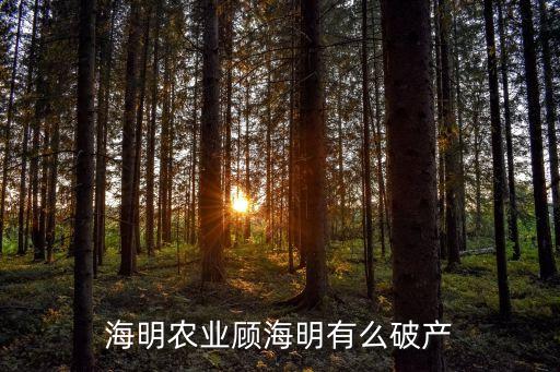 顧海明，海明農(nóng)業(yè)顧海明有么破產(chǎn)