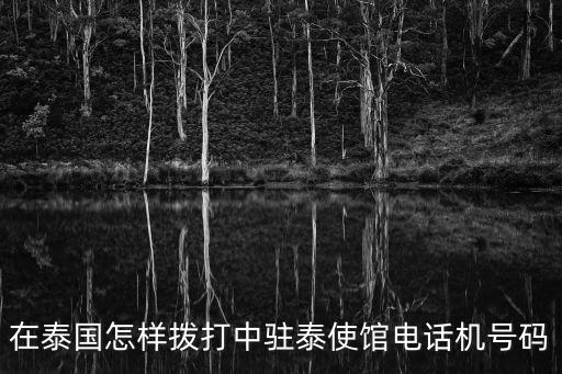 在泰國怎樣撥打中駐泰使館電話機(jī)號碼