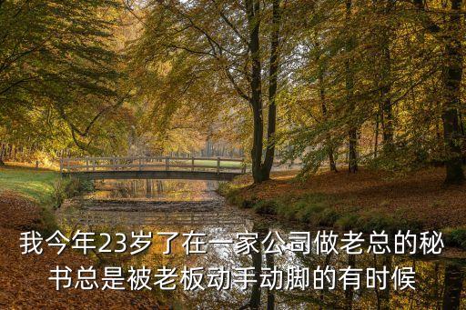 秘書被老板操，我今年23歲了在一家公司做老總的秘書總是被老板動手動腳的有時候