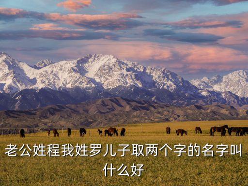程翰，老公姓程我姓羅兒子取兩個(gè)字的名字叫什么好