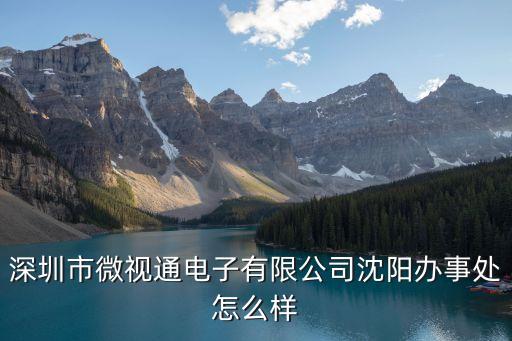 深圳市微視通電子有限公司沈陽辦事處怎么樣