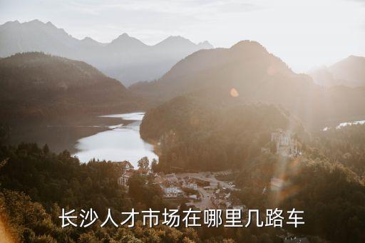 長沙市人才市場，長沙人才交流市場在哪里