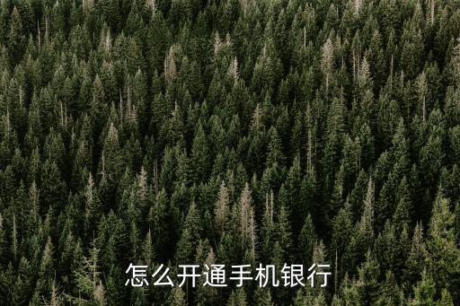 怎么開通手機(jī)銀行，手機(jī)銀行怎么開通