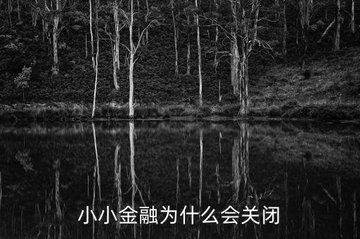 小小金融為什么會關(guān)閉