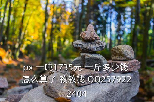 px價(jià)格，卡西歐PX110市場(chǎng)價(jià)多少錢(qián)