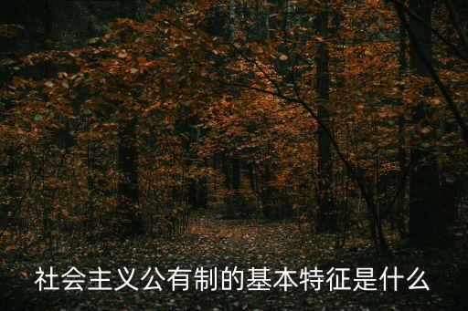 社會主義公有制的基本特征是什么