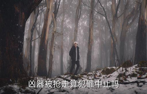 昆山反殺案，兇器被搶走算犯罪中止嗎