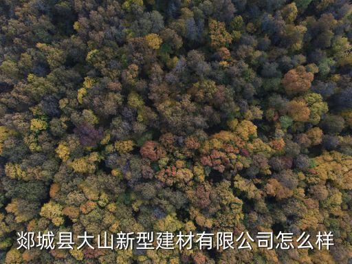 孫新峰，郯城縣大山新型建材有限公司怎么樣