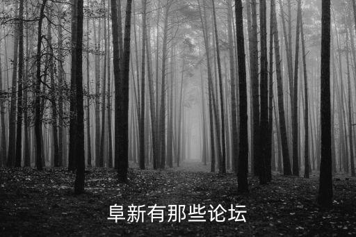 阜新有那些論壇