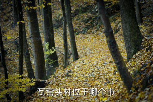 瓦窯頭村，瓦窯頭村屬于哪里