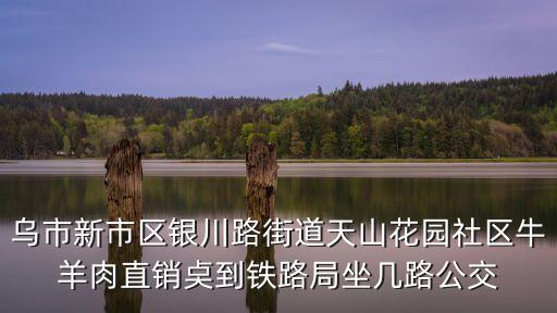 天山社區(qū)，汕頭市朝陽莊屬什么居委