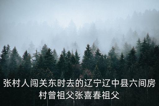 張村人闖關(guān)東時去的遼寧遼中縣六間房村曾祖父張喜春祖父