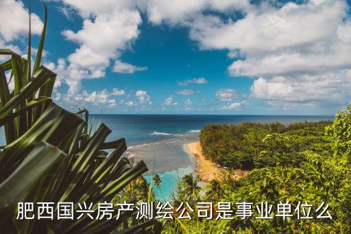 肥西國興房產(chǎn)測繪公司是事業(yè)單位么
