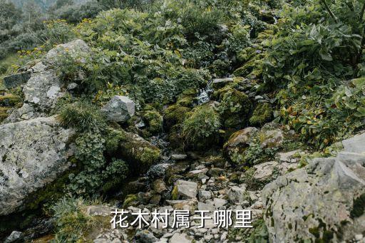 花木村，花木村位于哪個省