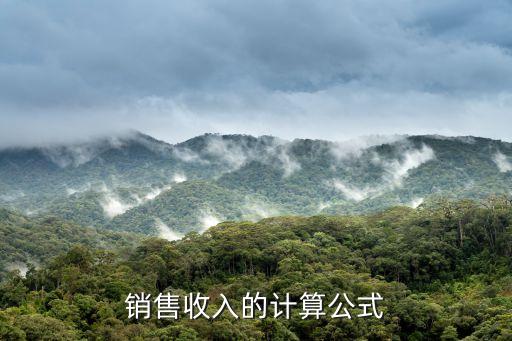 銷售收入，銷售收入怎么算
