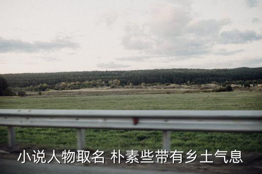李菊芳，小說人物取名 樸素些帶有鄉(xiāng)土氣息
