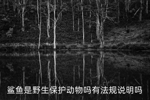 鯊魚是保護(hù)動(dòng)物嗎，鯊魚是幾級(jí)保護(hù)動(dòng)物