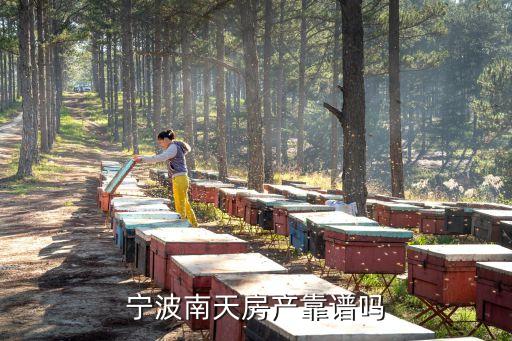 南天房產(chǎn)，寧波南天房產(chǎn)中介費怎么收
