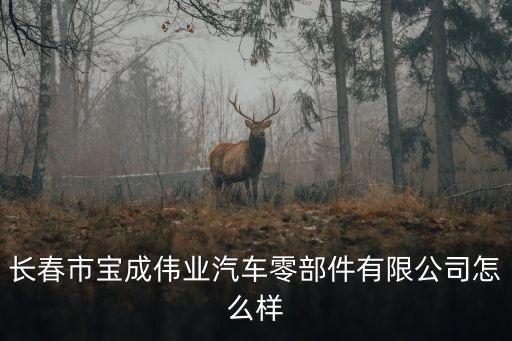 朱寶成，長春市寶成偉業(yè)汽車零部件有限公司怎么樣
