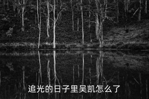 吳凱，追光的日子吳凱結(jié)局怎么樣