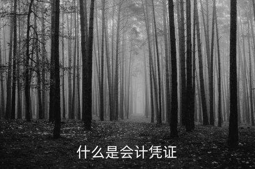 什么是會計憑證