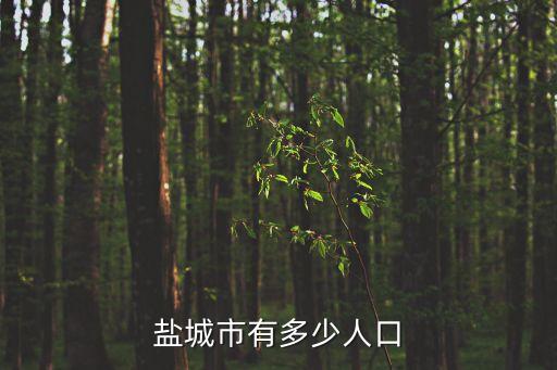 鹽城人口，鹽城有多少人口