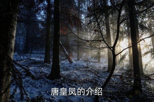 唐皇鳳，唐皇鳳的介紹