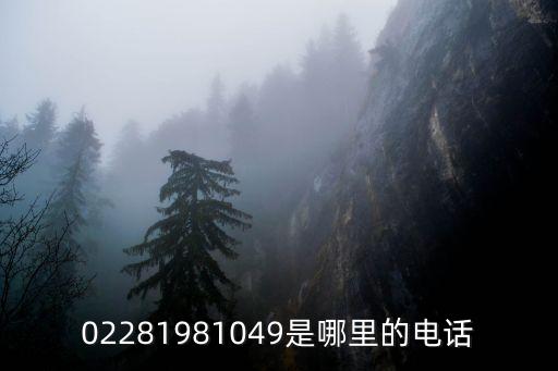 022開頭的是什么電話，02281981049是哪里的電話