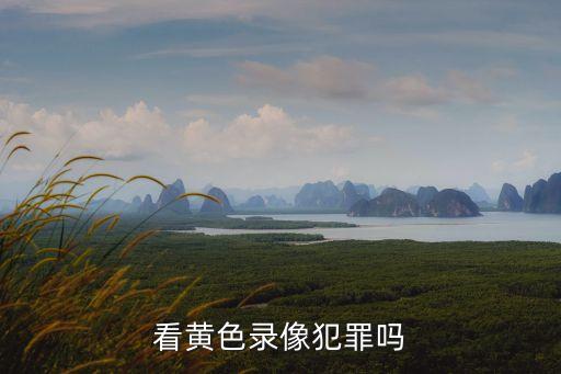看黃色錄像犯罪嗎
