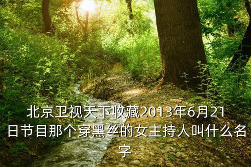 黑絲踩臉，北京衛(wèi)視天下收藏2013年6月21日節(jié)目那個(gè)穿黑絲的女主持人叫什么名字