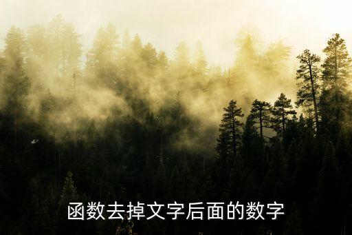 朱中華，函數(shù)去掉文字后面的數(shù)字
