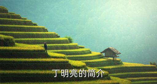 丁明亮，丁明亮的簡(jiǎn)介