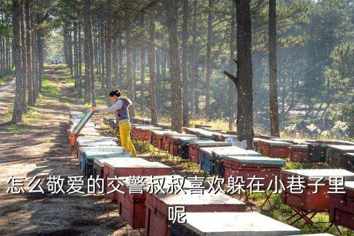 龔安，重金懸賞起名高手請入