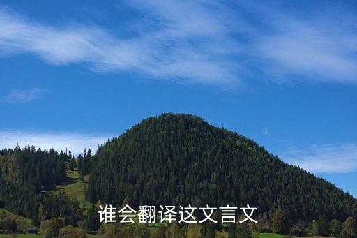 向松柞，巴菲特算什么股神向松詐兩三年就資金翻10倍 a股這口鍋ipo不背誰
