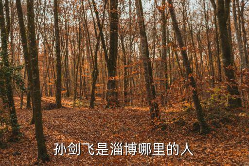 孫劍飛，孫劍飛的個(gè)人履歷
