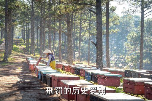 刑罰的歷史，刑罰的歷史的內(nèi)容簡介