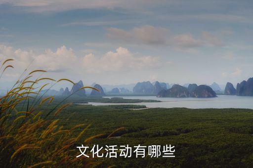 文化活動(dòng)有哪些，文化活動(dòng)包括哪些活動(dòng)