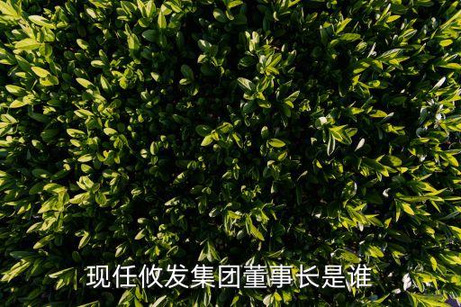 現(xiàn)任攸發(fā)集團董事長是誰
