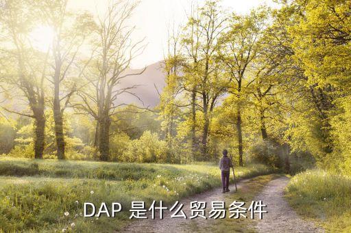 dap條款，DAP 是什么貿(mào)易條件