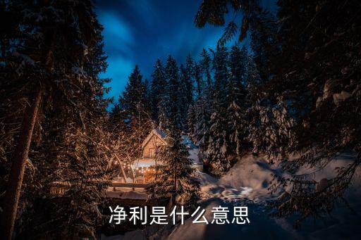 凈利，凈利是什么意思