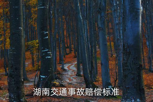 湖南交通事故賠償標(biāo)準(zhǔn)