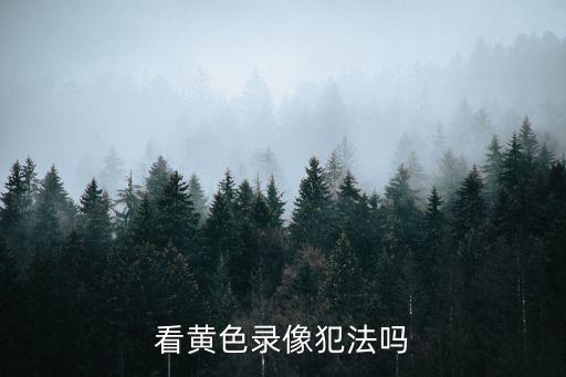 黃色錄像特級，看黃色錄像犯法嗎