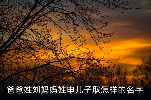 劉天喜，爸爸姓劉媽媽姓申兒子取怎樣的名字